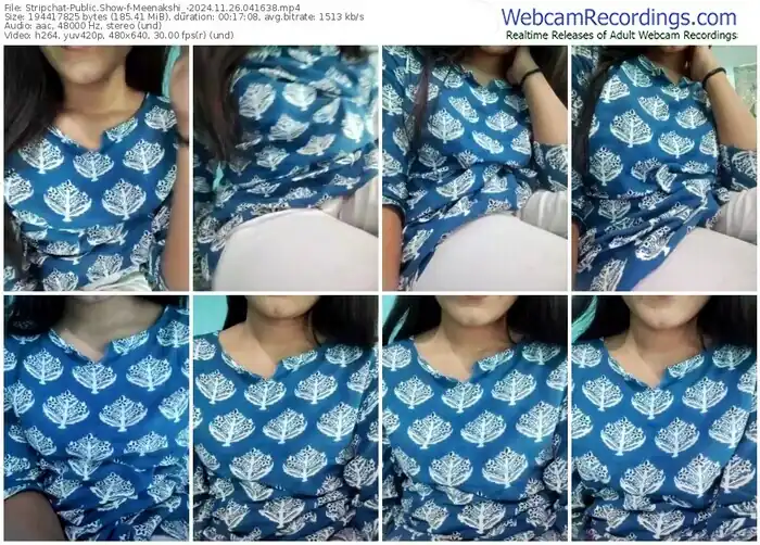 2024/11/26/stripchat-meenakshi_-04-16-38