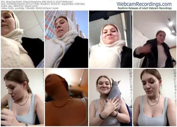 2024/11/26/stripchat-morphine_666-07-39-46