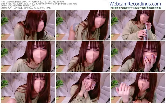 2024/11/26/stripchat-niinachan-17-13-26