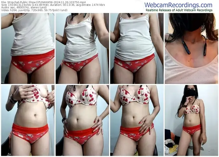 2024/11/26/stripchat-punam456-10-37-50
