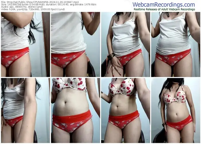 2024/11/26/stripchat-punam456-10-38-47