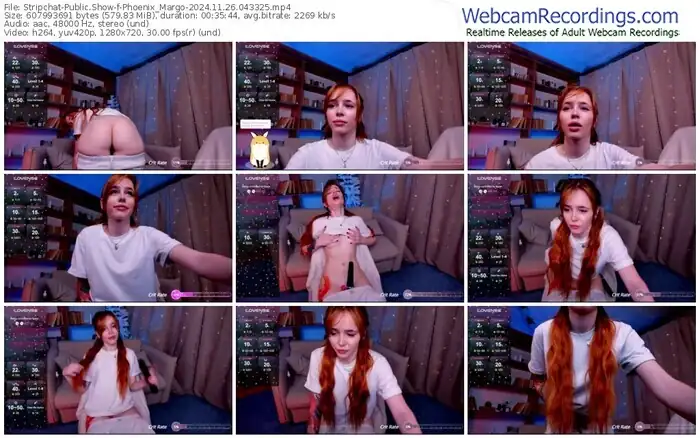 2024/11/26/stripchat-phoenix_margo-04-33-25