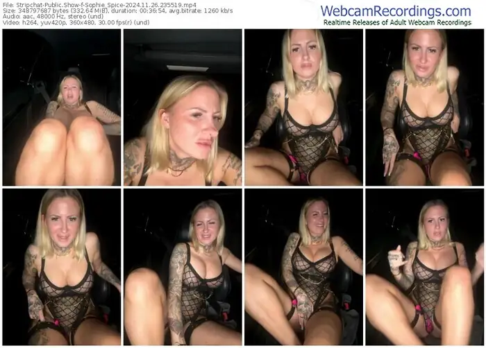 2024/11/26/stripchat-sophie_spice-23-55-19