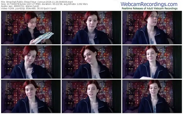 2024/11/26/stripchat-your_corvus-09-40-06