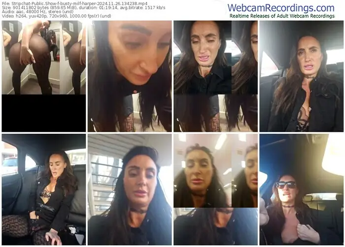 2024/11/26/stripchat-busty-milf-harper-13-42-38