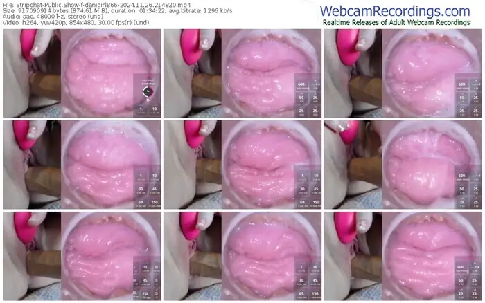 2024/11/26/stripchat-danigirl866-21-48-20