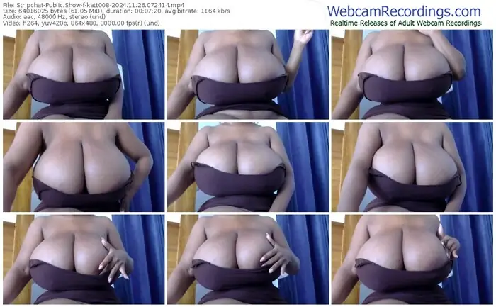 2024/11/26/stripchat-katt008-07-24-14
