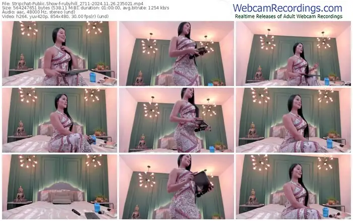 2024/11/26/stripchat-rubyhill_2711-23-50-21