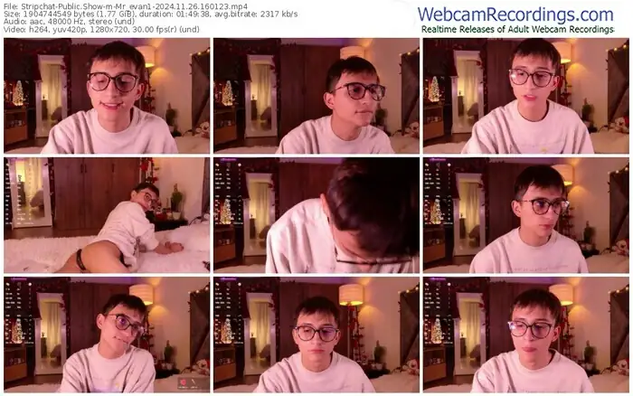 2024/11/26/stripchat-mr_evan1-16-01-23