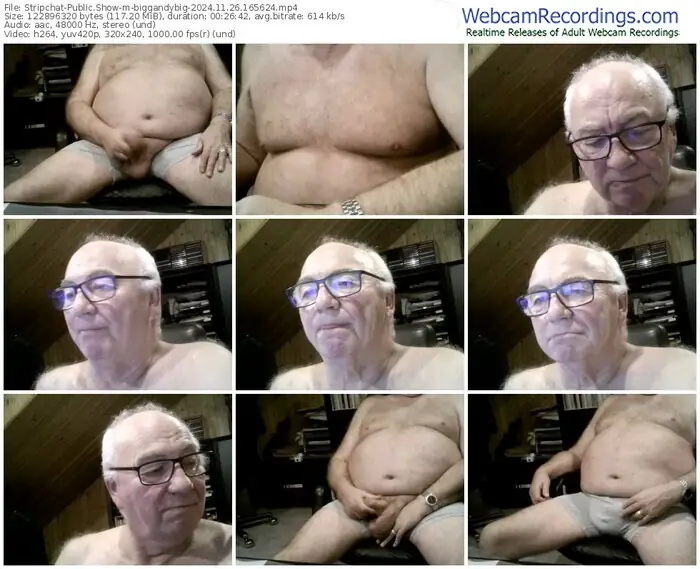 2024/11/26/stripchat-biggandybig-16-56-24