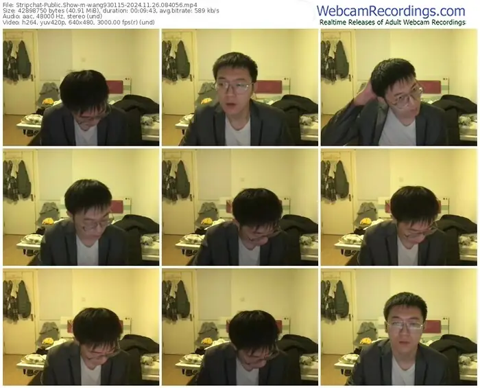 2024/11/26/stripchat-wang930115-08-40-56