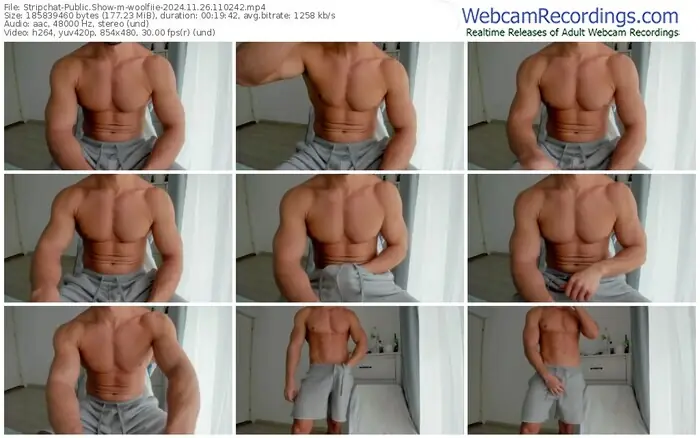 2024/11/26/stripchat-woolfiie-11-02-42