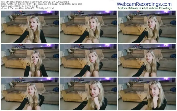 2024/11/27/stripchat-cassycum-22-02-32