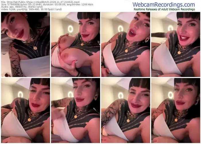 2024/11/27/stripchat-inkedbiitch-21-06-41