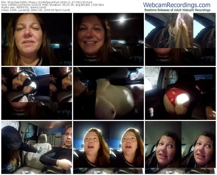 2024/11/27/stripchat-s1nfullypurrfuct-06-11-35