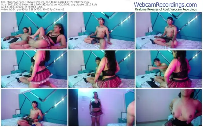 2024/11/27/stripchat-vegeta_and_bulma-21-03-22