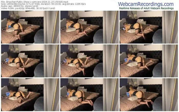 2024/11/27/stripchat-cemcero-15-03-18