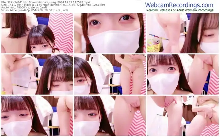 2024/11/27/stripchat-irohani_usagi-11-05-18