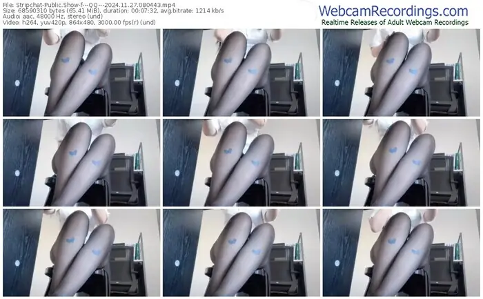 2024/11/27/stripchat---qq---08-04-43