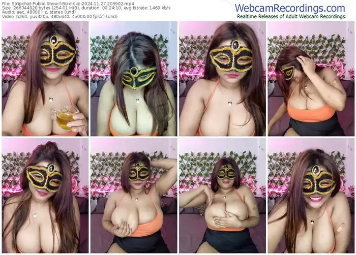 2024/11/27/stripchat-bold-cat-20-59-02