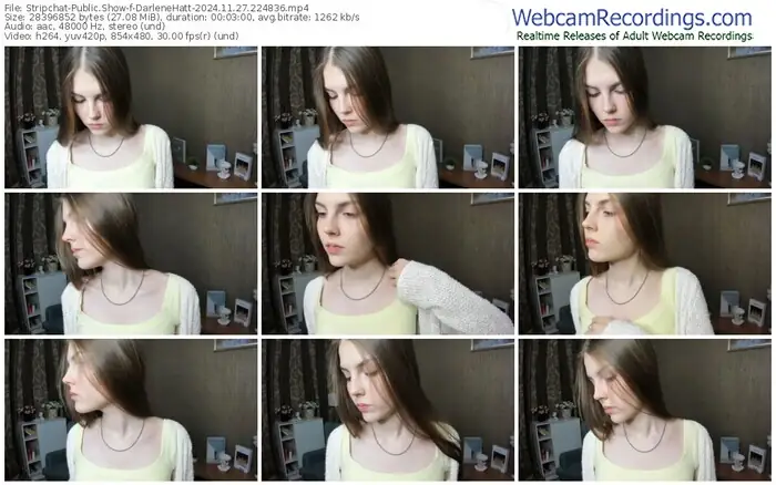 2024/11/27/stripchat-darlenehatt-22-48-36