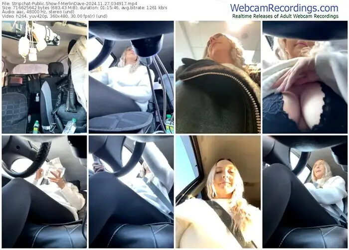 2024/11/27/stripchat-merlindave-03-49-17