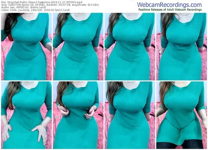 2024/11/27/stripchat-saakoora-05-59-03