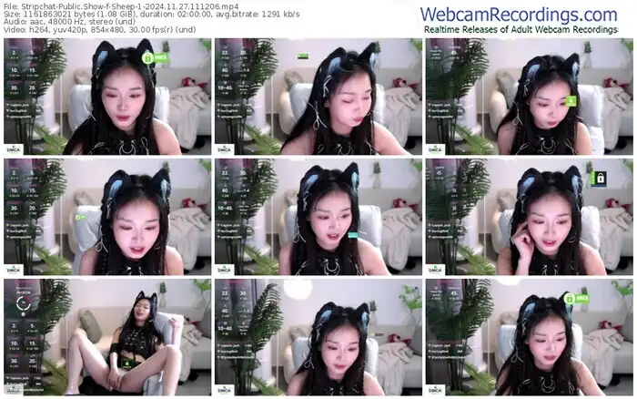 2024/11/27/stripchat-sheep-1-11-12-06