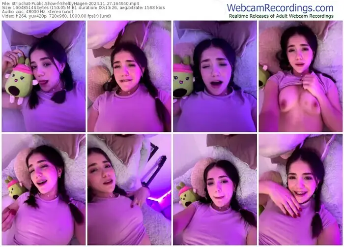 2024/11/27/stripchat-shelbyhagen-16-49-40