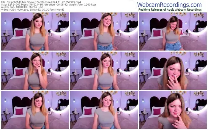 2024/11/27/stripchat-zarabloom-05-29-09