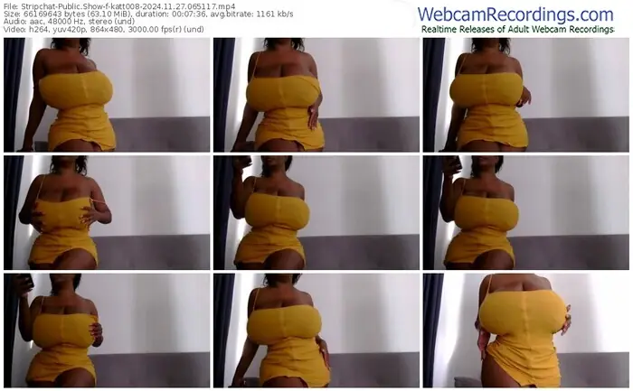 2024/11/27/stripchat-katt008-06-51-17