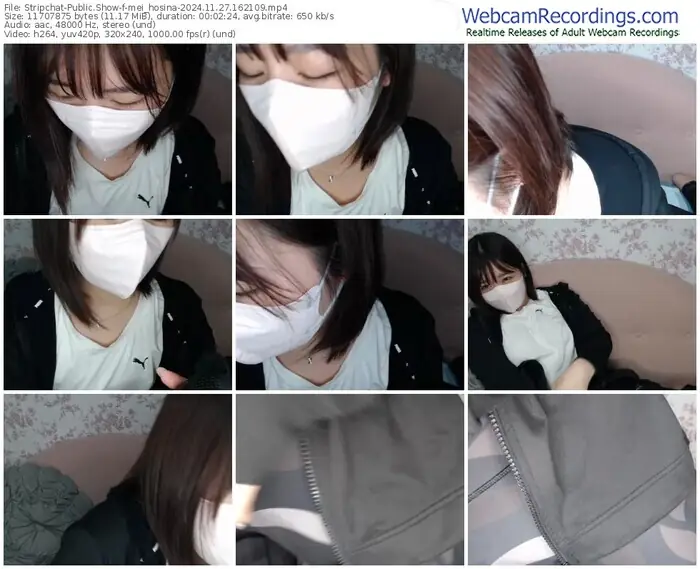 2024/11/27/stripchat-mei_hosina-16-21-09