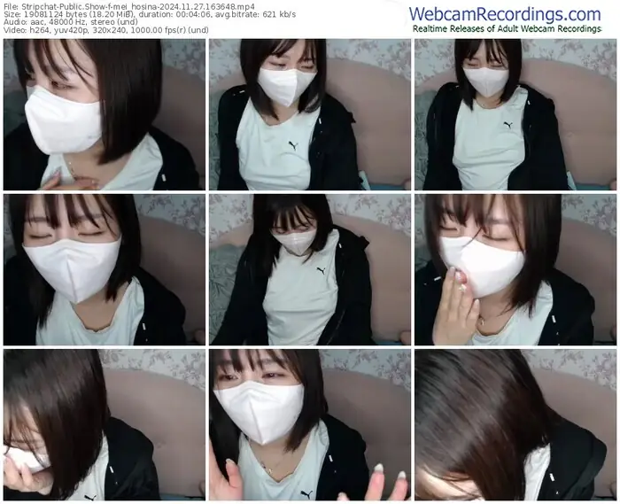 2024/11/27/stripchat-mei_hosina-16-36-48