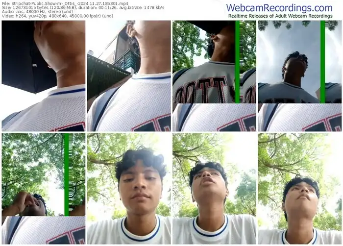 2024/11/27/stripchat-_ottis_-18-53-01