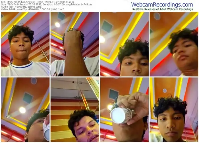 2024/11/27/stripchat-_ottis_-20-35-33