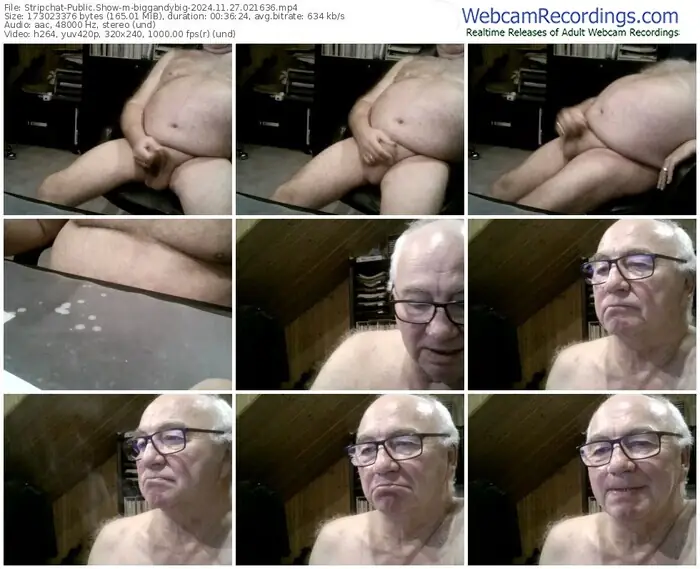 2024/11/27/stripchat-biggandybig-02-16-36