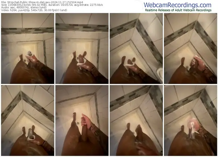 2024/11/27/stripchat-da1jaxx-15-15-04