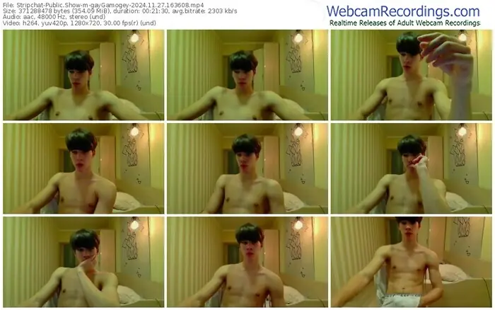 2024/11/27/stripchat-gaygamogey-16-36-08