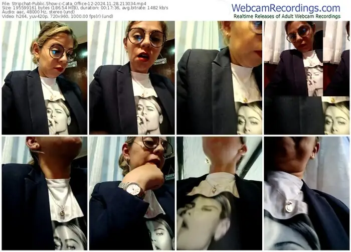 2024/11/28/stripchat-cata_office-12-21-30-34