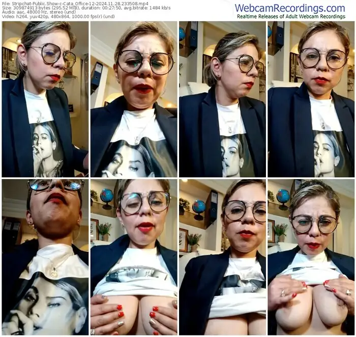 2024/11/28/stripchat-cata_office-12-23-35-08