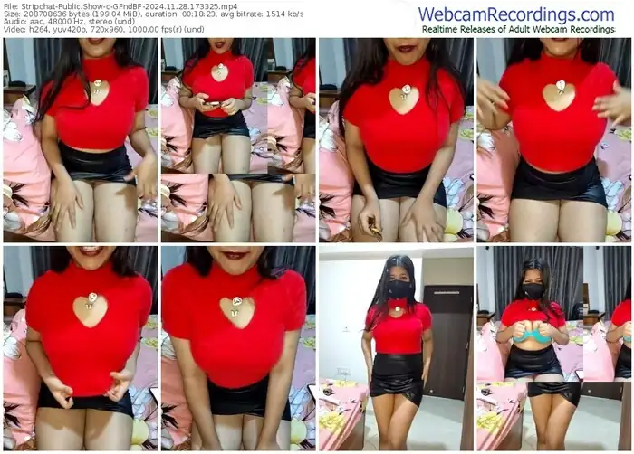 2024/11/28/stripchat-gfndbf-17-33-25