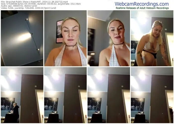 2024/11/28/stripchat-nastymilf_-20-27-22