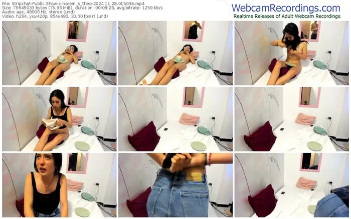 2024/11/28/stripchat-harem_s_theo-01-50-36