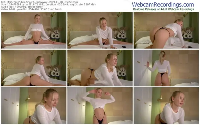 2024/11/28/stripchat--snowwwy--15-57-53