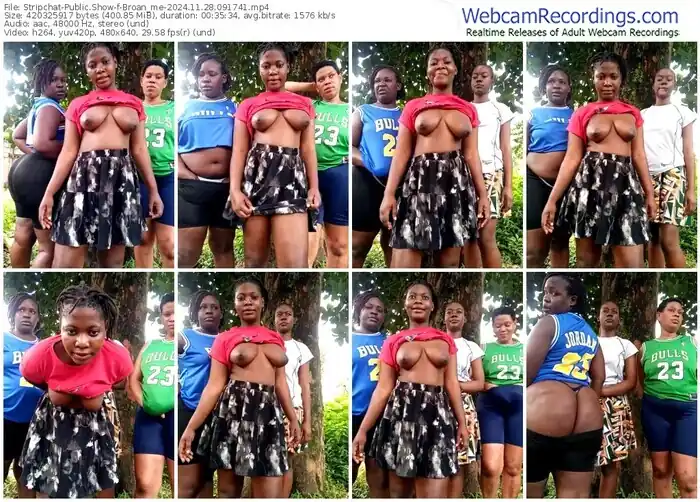 2024/11/28/stripchat-broan_me-09-17-41