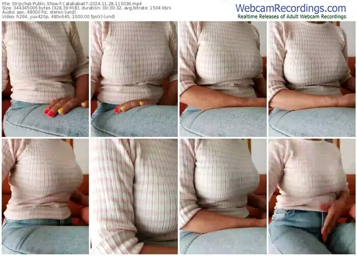 2024/11/28/stripchat-catababa67-11-30-36