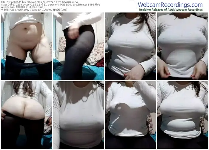 2024/11/28/stripchat-elaa_su-02-47-04