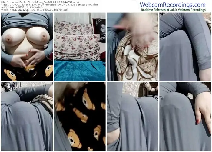 2024/11/28/stripchat-elaa_su-04-48-32