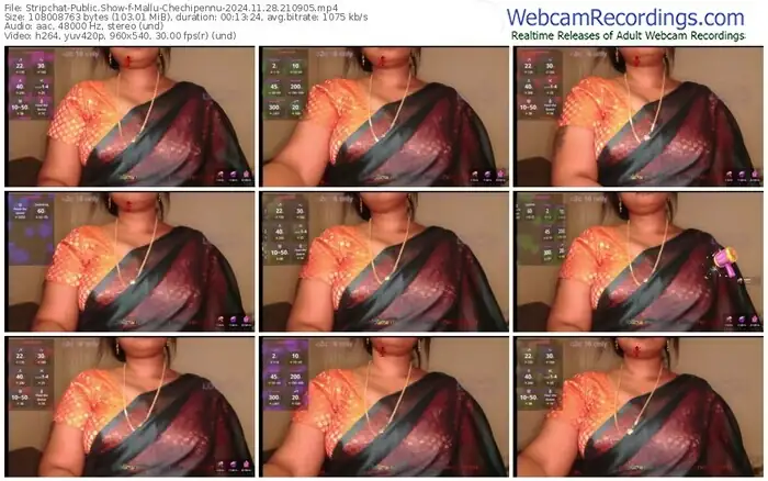 2024/11/28/stripchat-mallu-chechipennu-21-09-05