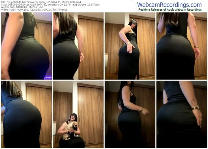 2024/11/28/stripchat-megan_lu2-03-10-00